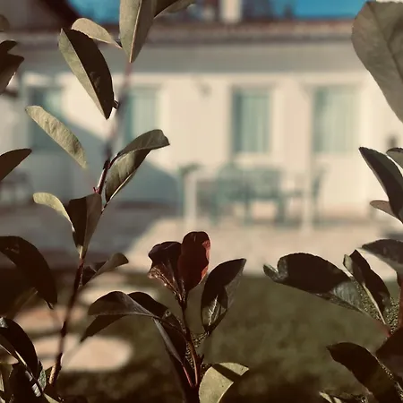 Apartment Bizantina *